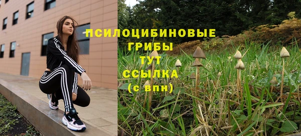 тгк Алзамай