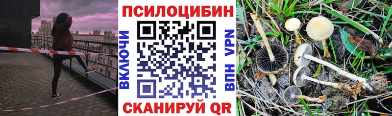 гидра как войти  Чебоксары  Галлюциногенные грибы прущие грибы  даркнет сайт 