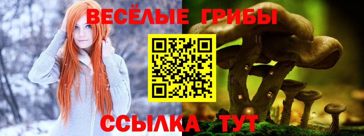 Псилоцибиновые грибы Psilocybine cubensis  Вход с VPN  Чебоксары 